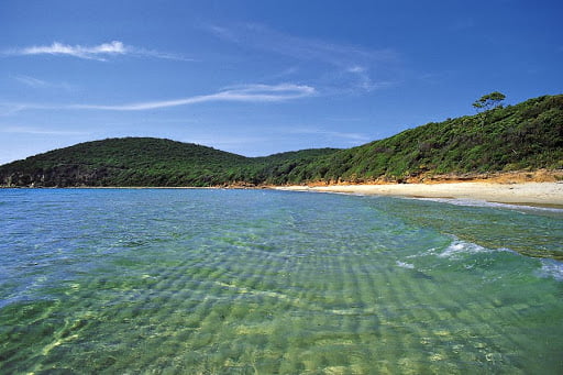 spiaggia di Cala Violina