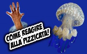 Come reagire alle punture delle meduse