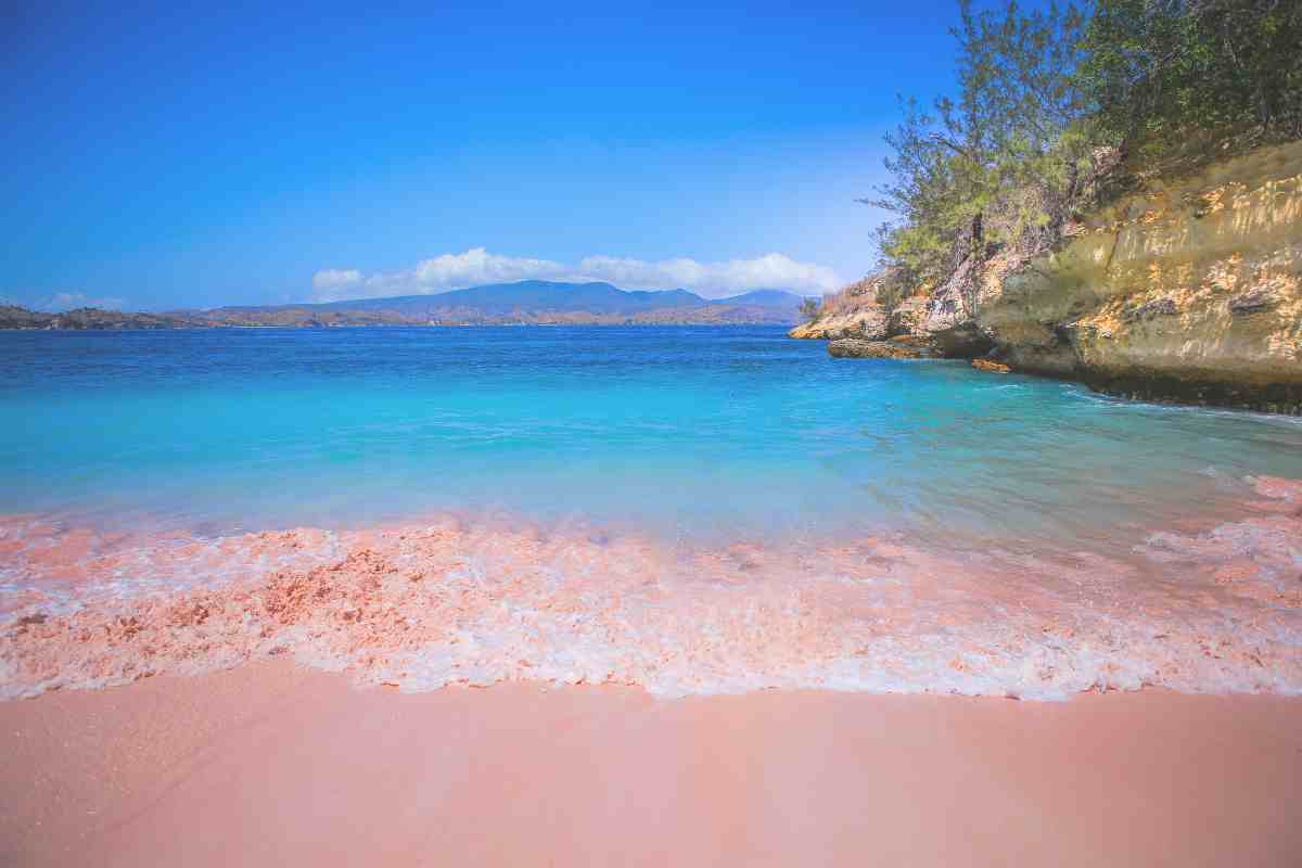 Spiaggia rosa italiana a rischio