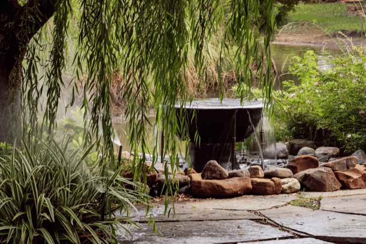 L'ambiente domestico sarà più rilassante grazie a questa pianta