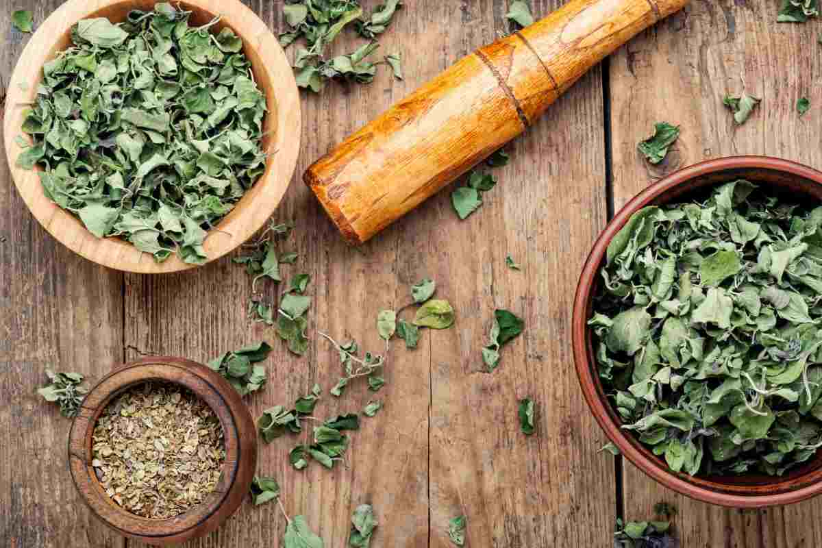 Erbe aromatiche per preparazione salse