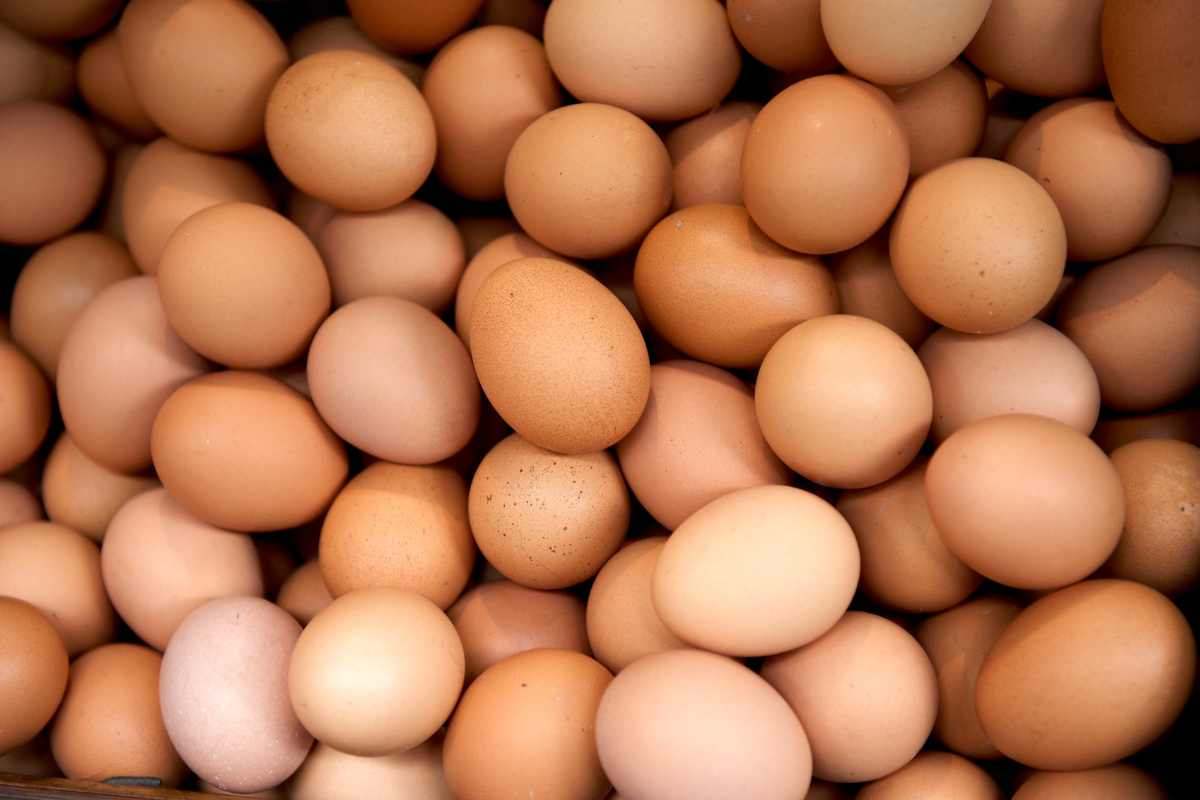 le uova utilizzate per diversi piatti