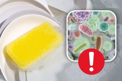 Eliminare i batteri dalla spugnetta, i metodi più efficaci