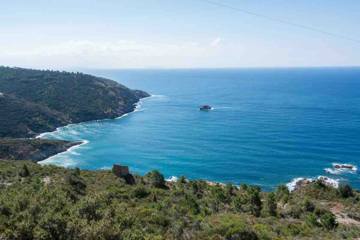 Offerta estiva per l'isola d'Elba 