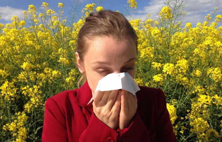 Come combattere le allergie stagionali